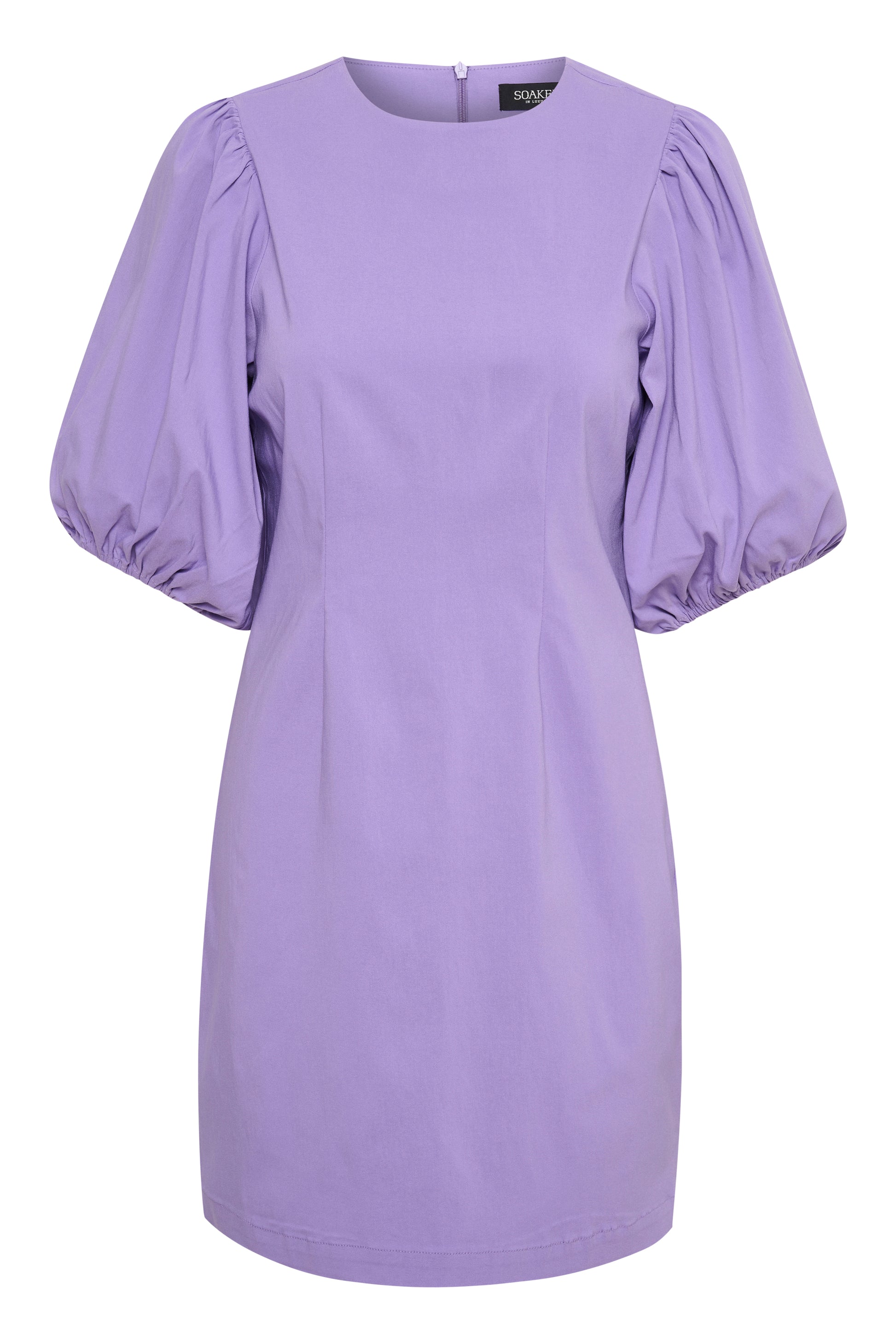  Zazu Dolore Dress Dresses Paisley Purple